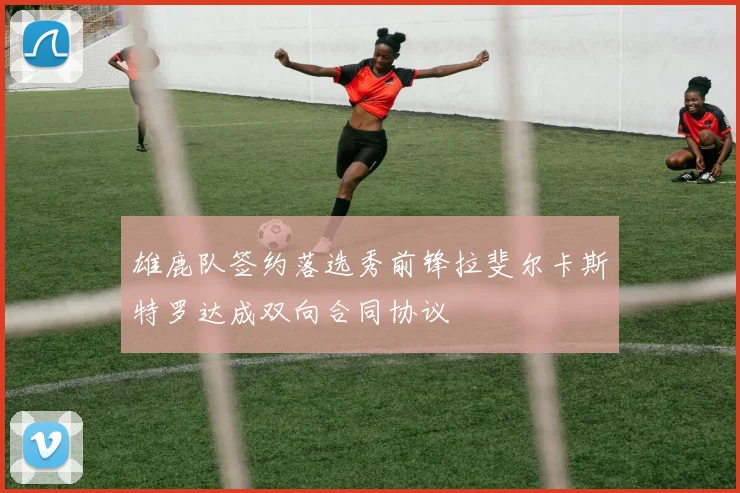 雄鹿队签约落选秀前锋拉斐尔卡斯特罗达成双向合同协议